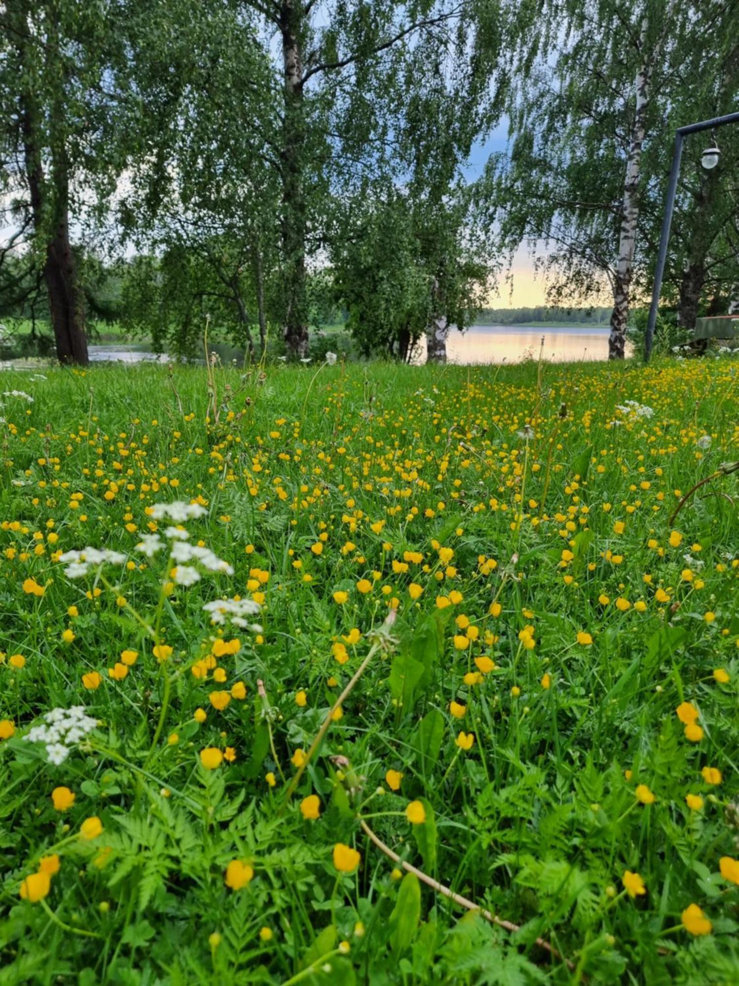 Wanha Kunnantalo Apartamento Pudasjarvi Exterior foto